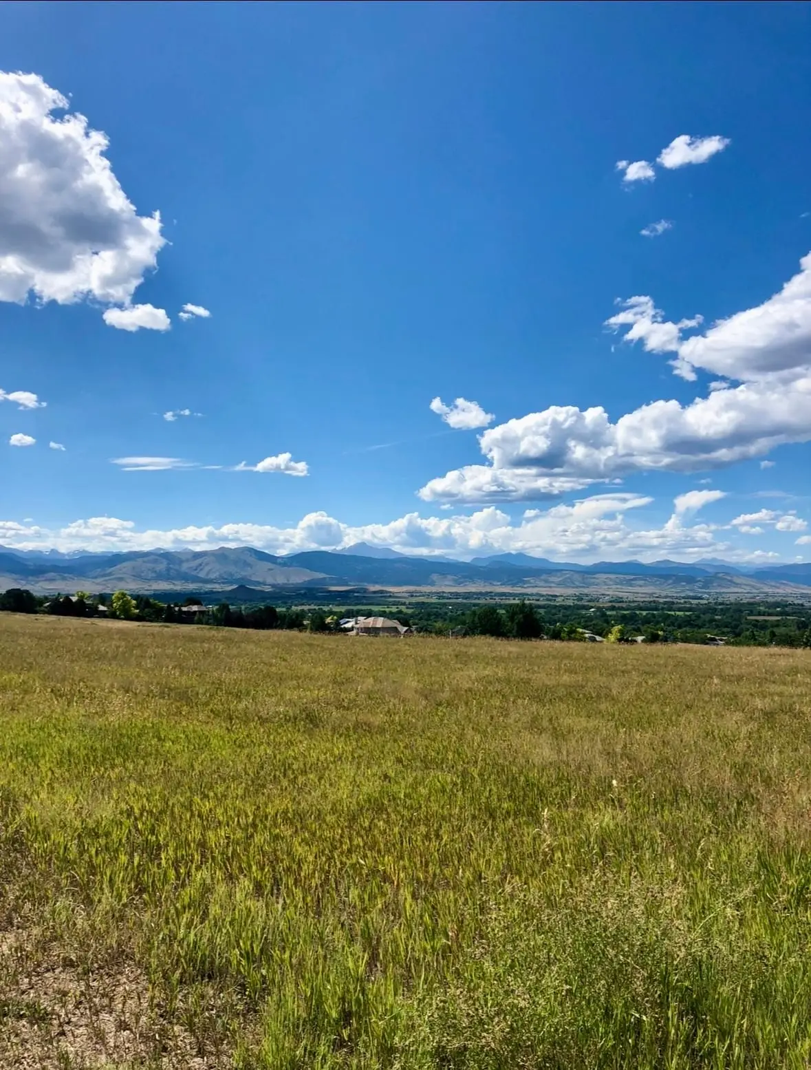 Open grassland under a wide Colorado sky near Niwot, the Front Range running along the western horizon